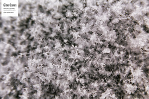 Flocons de neige