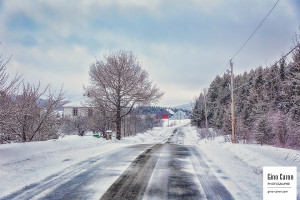 Un peu de neige printanière