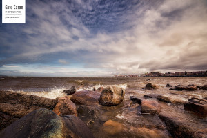 Printemps rimouskois