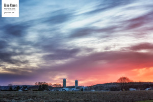 Une agréable fin de journée