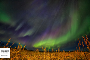 Dans un champs, magnifique spectacle de lumière