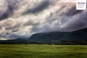 Matin gris d&rsquo;été