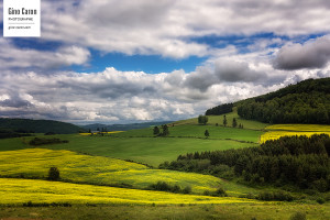 Paysage ondulé