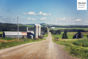 Route de campagne