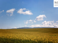 Paysage agricole sur fond d’éoliennes