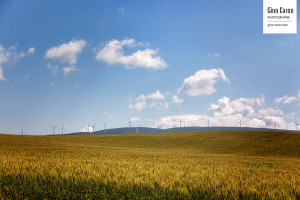 Paysage agricole sur fond d&rsquo;éoliennes