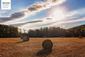 Lumière d&rsquo;automne