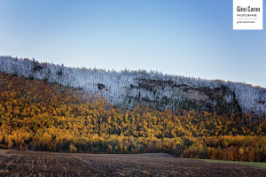 Trois couleurs de l&rsquo;automne