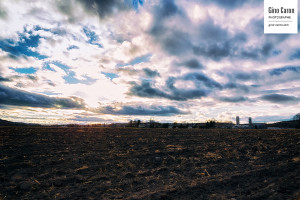 Automne couleur terre