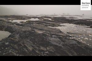 Journée brumeuse de juin