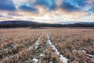 Matin de décembre… sans neige