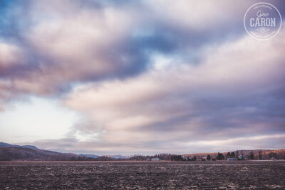Ciel de couleur sur automne brun