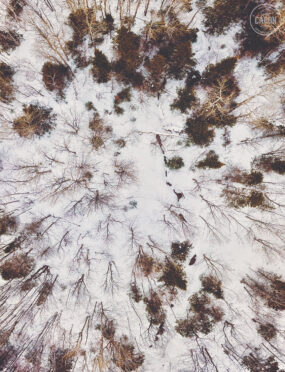 Un petit ruisseau au fond de la forêt qui commence à apparaître