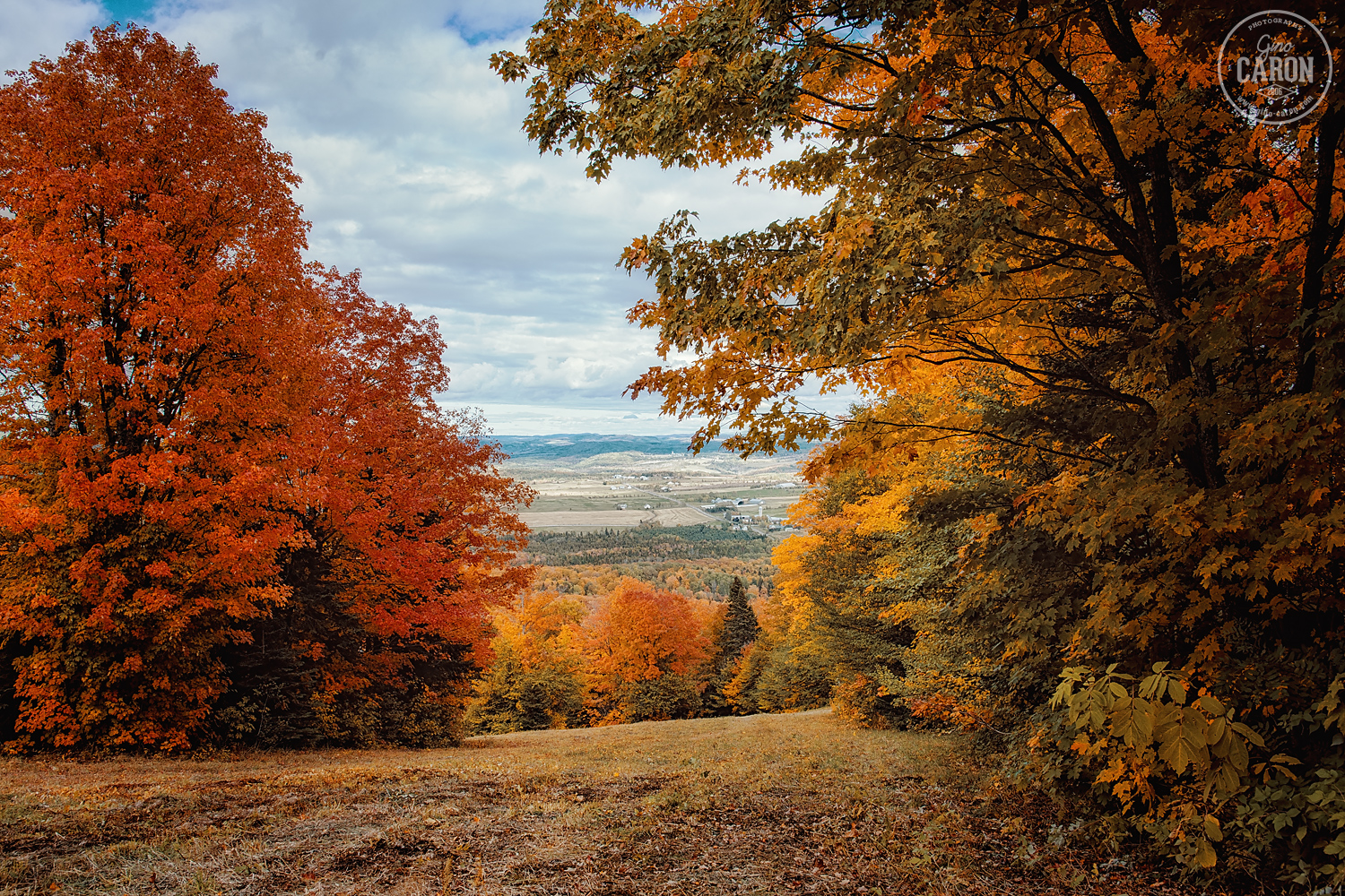Les magnifiques couleurs de l'automne - Gino Caron Photographe