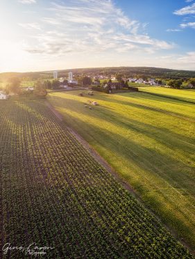 Chargement du foin au coucher du soleil