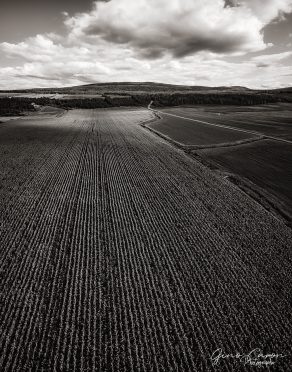 Au-dessus d&rsquo;un champ de maïs