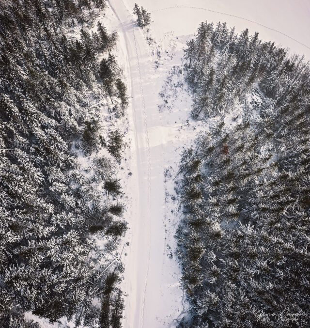 Mais où mène ce chemin enneigé?