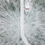 Dans une forêt près de chez-vous!