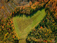 Un champ en forme de cœur et des couleurs d’automne