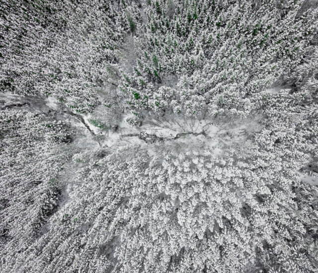 Bonne première journée du printemps!