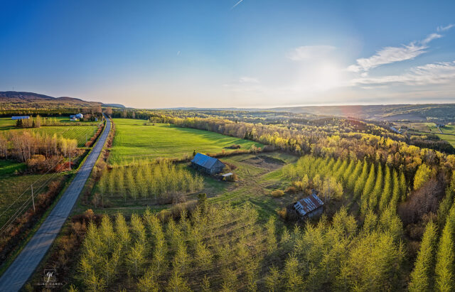 Les magnifiques couleurs du printemps!