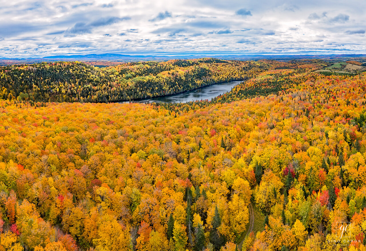 Érablière sur le bord d'un lac