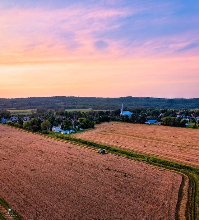 Moisson au coucher de soleil
