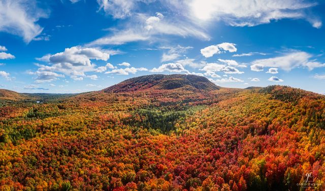 Forêt automnale au pied du Mont-Comi